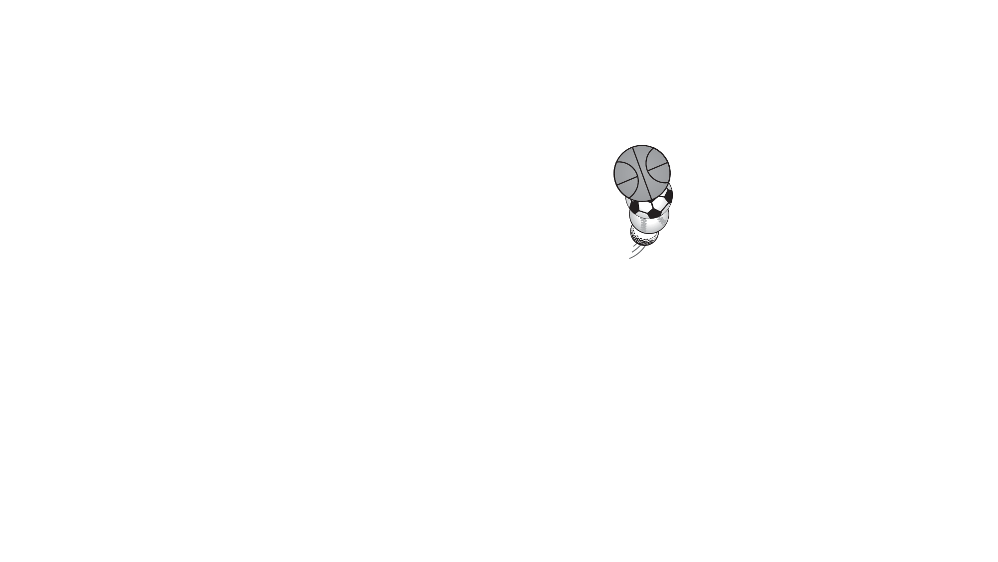 Dick's Sporting-Goods Logo